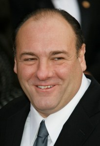 13th Annual Screen Actors Guild Awards - Arrivals