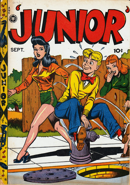 Junior - fireplug cover