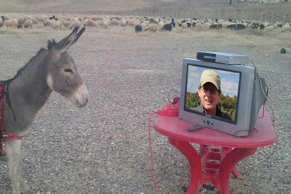 Jackass watching Ted TV2