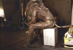 Xenomorph takes a&nbsp;break